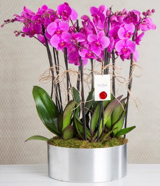 11 dall mor orkide metal vazoda ayyolu nternetten iek siparii 